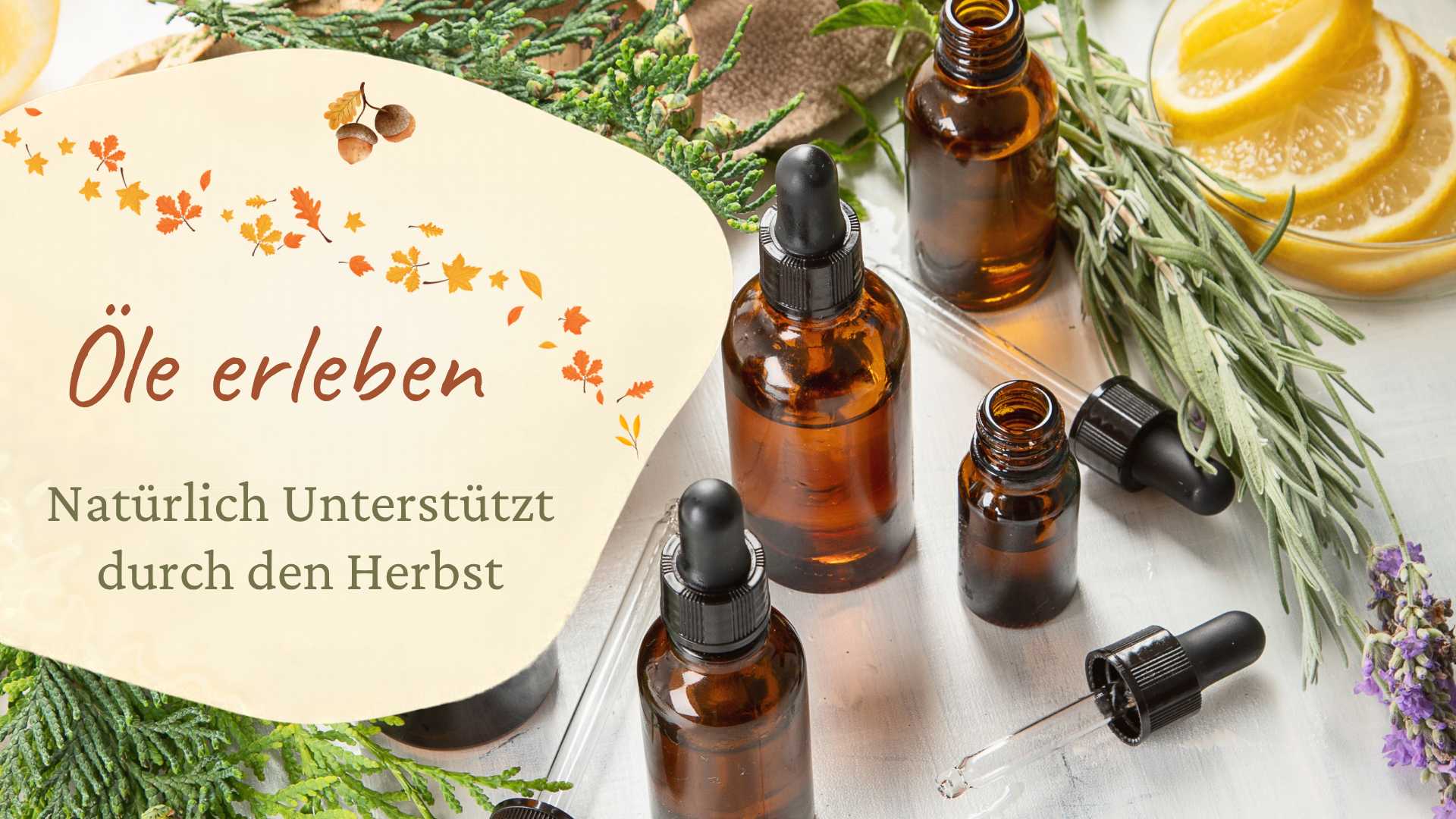 Öle erleben – Natürlich gestärkt durch den Herbst 🍂