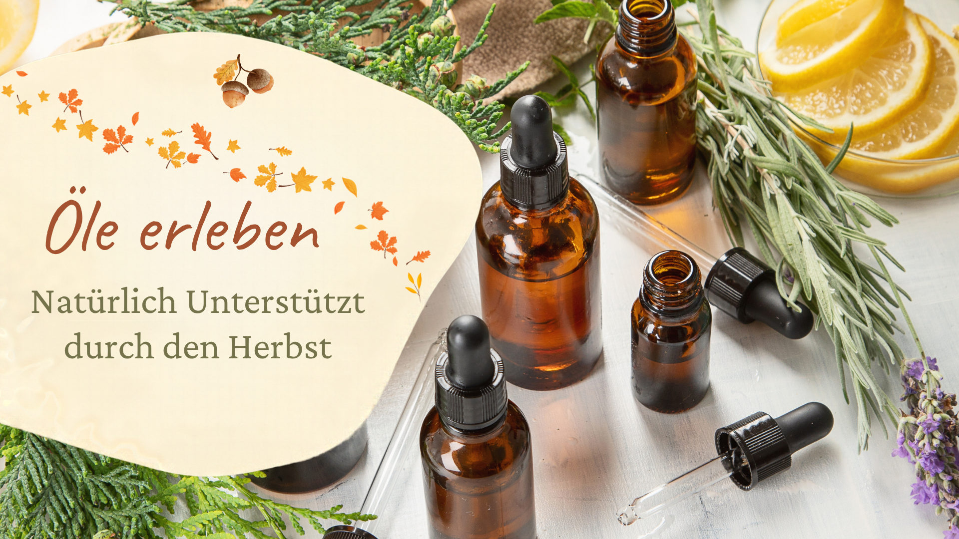 Öle erleben – Natürlich gestärkt durch den Herbst 🍂