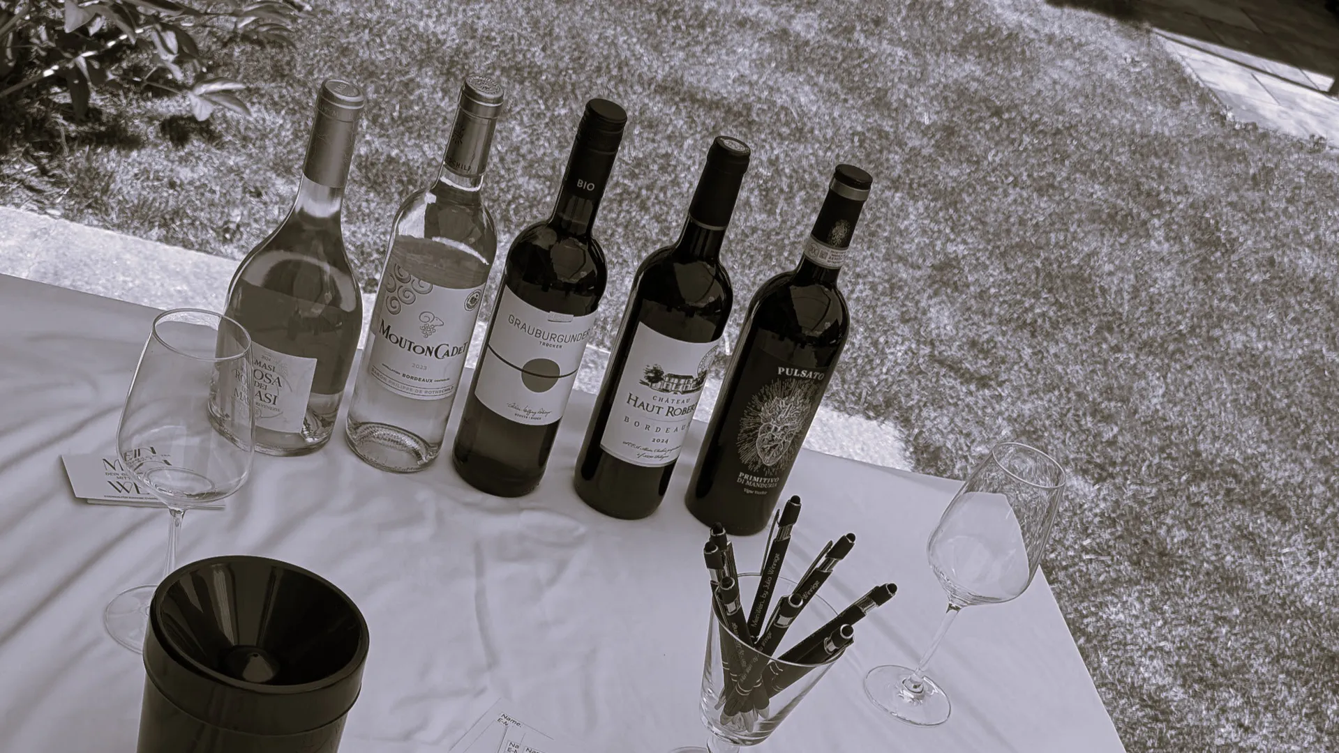 Mein Wein Moment für 8-12 Gäste